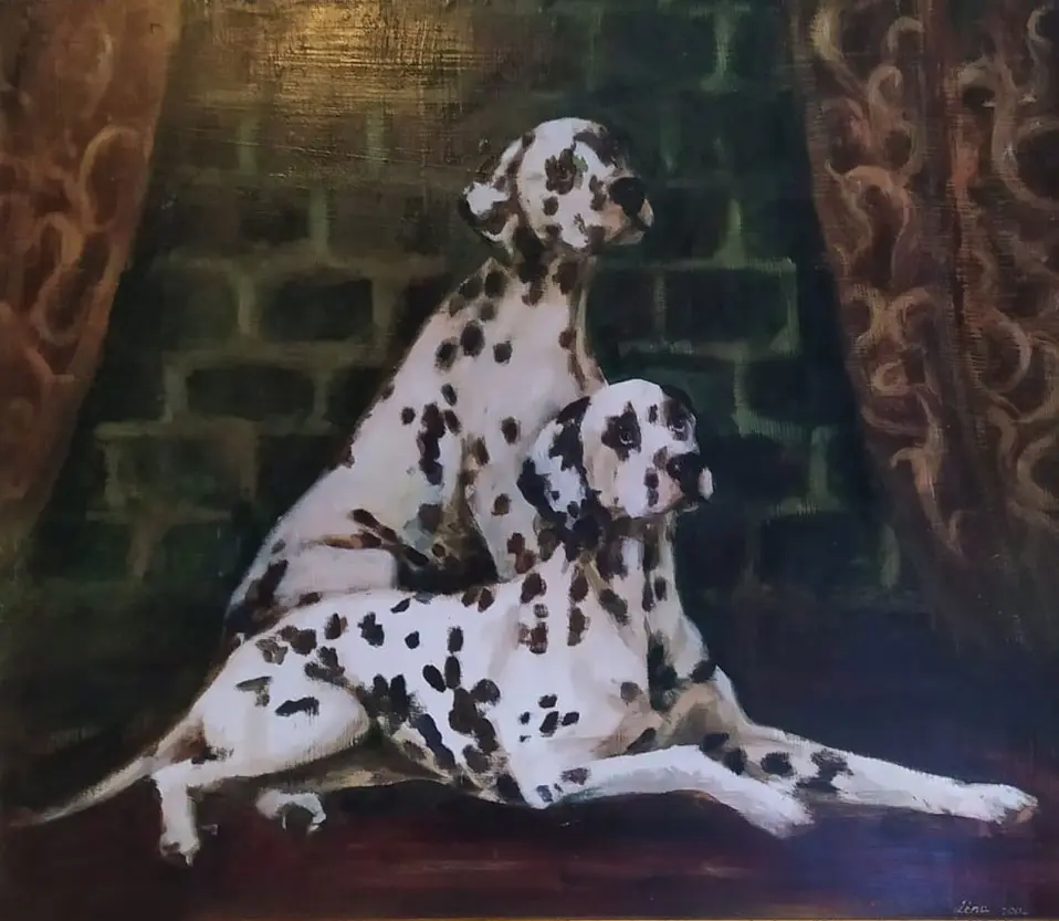 Falcatus Dalmatians kennel